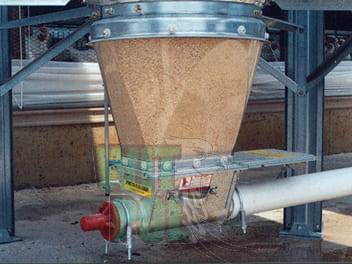 6093c przeżroczysty.jpg